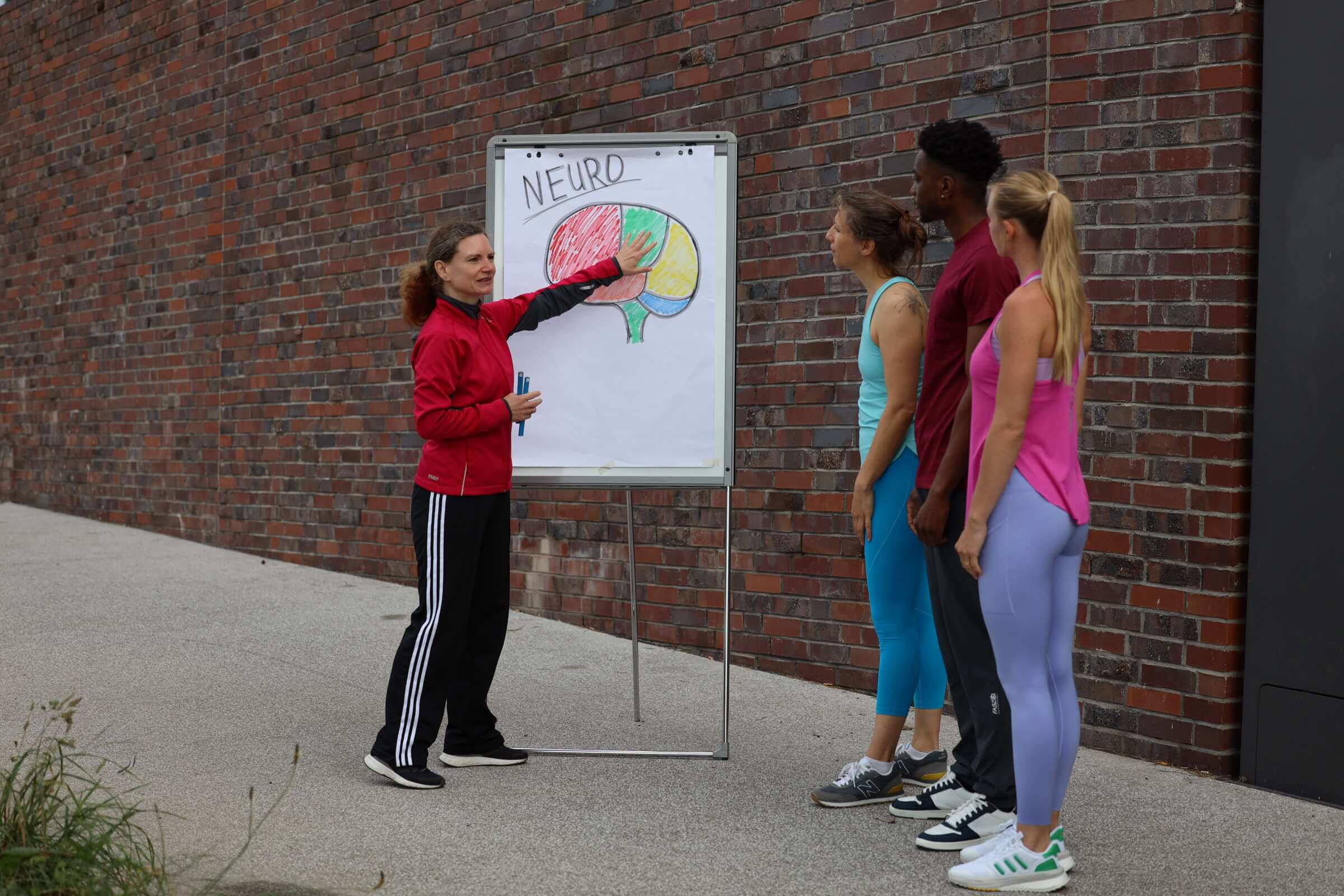Menschen in Sportkleidung stehen vor einer Flipchart mit der aufschrift Neuro und einem aufgemalten Gehirn. Eine Frau in rot zeigt auf das Gehirn.