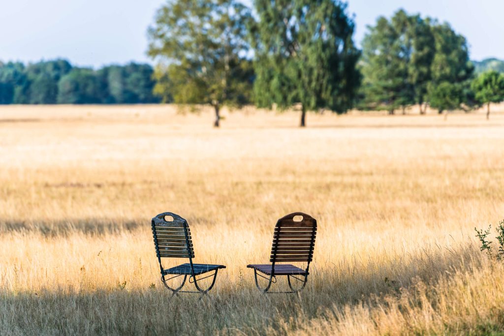 Hotelcamp Reinsehlen Stimmungsbild mit zwei Stühlen vor gelbem Gras und Bäumen