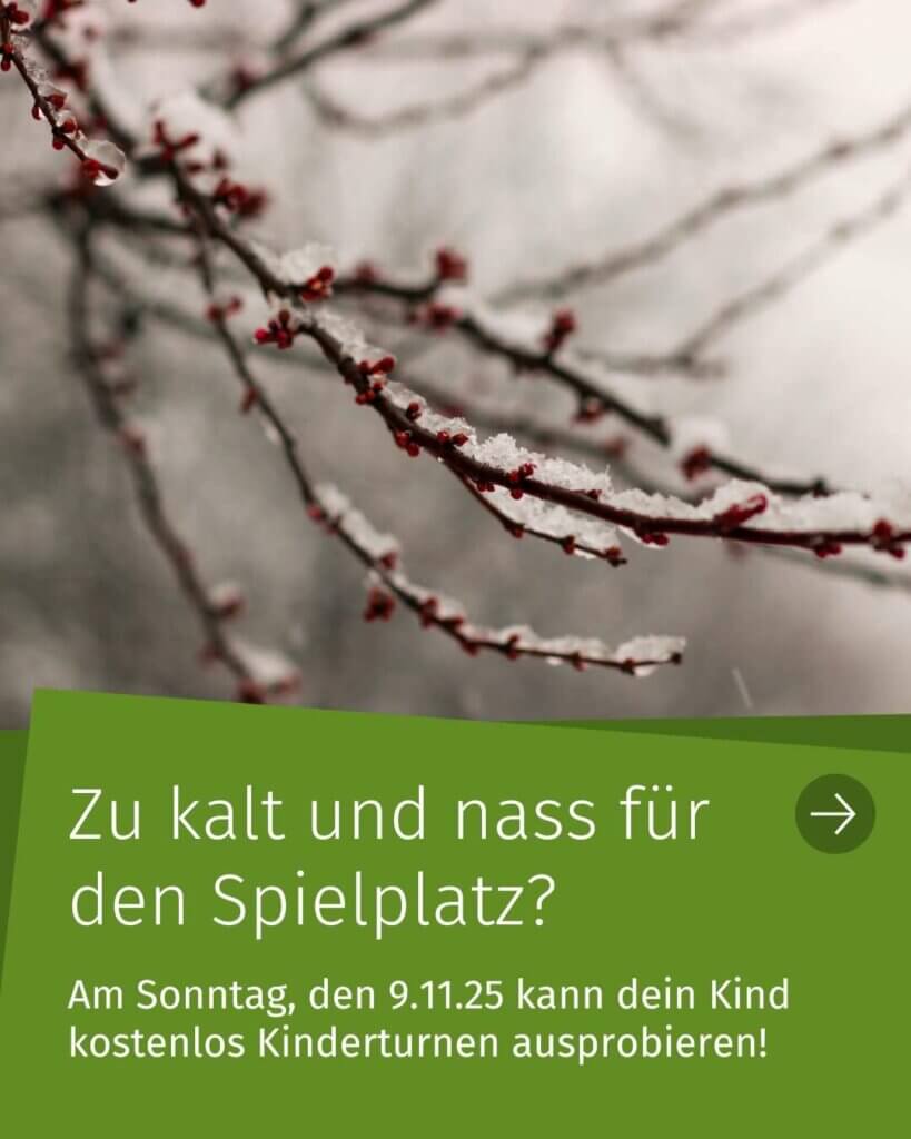 Sümeyye Başbil Von Pexels