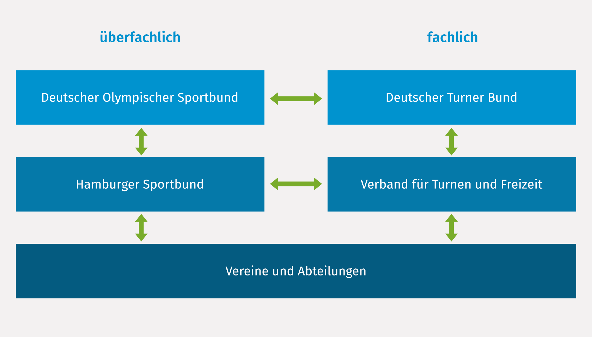 Organigram: Einbindung des VTF in die Strukturen des organisierten Sports.