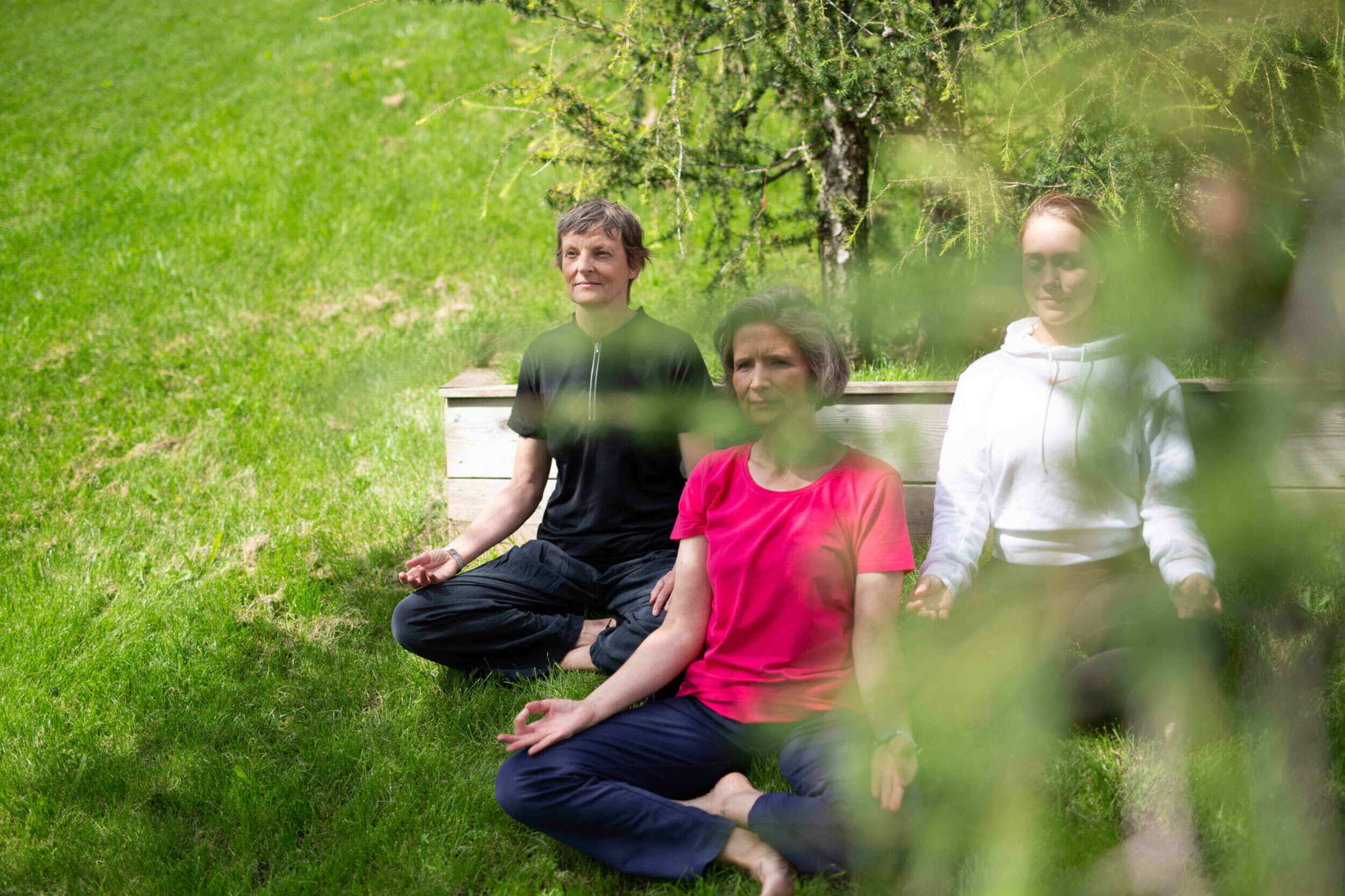 Drei Frauen sitzen entspannt im Lotussitz auf der Wiese und entspannen sich beim Yoga, leicht verdeckt von verschwommenen Zweigen im Vordergrund